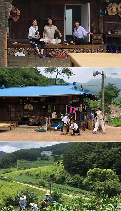 [사진]tvN 제공