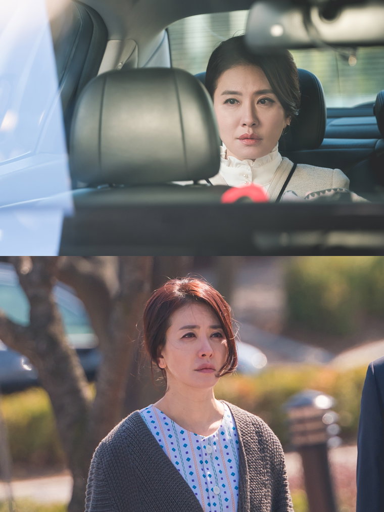 사진 제공: 채널A