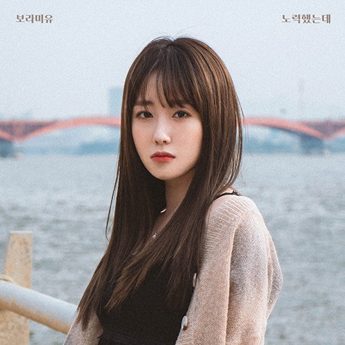 보라미유