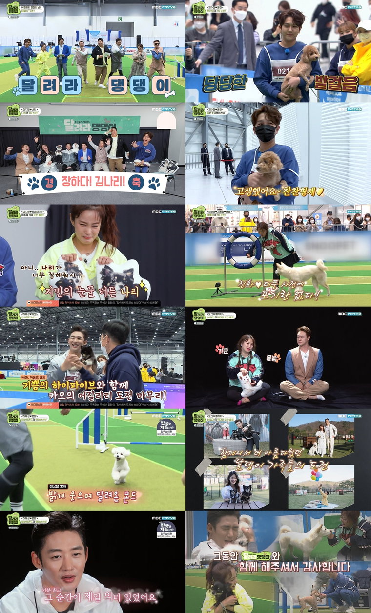 사진제공 = MBC에브리원 &lsquo;두근두근 레이스 <달려라 댕댕이>&rsquo;