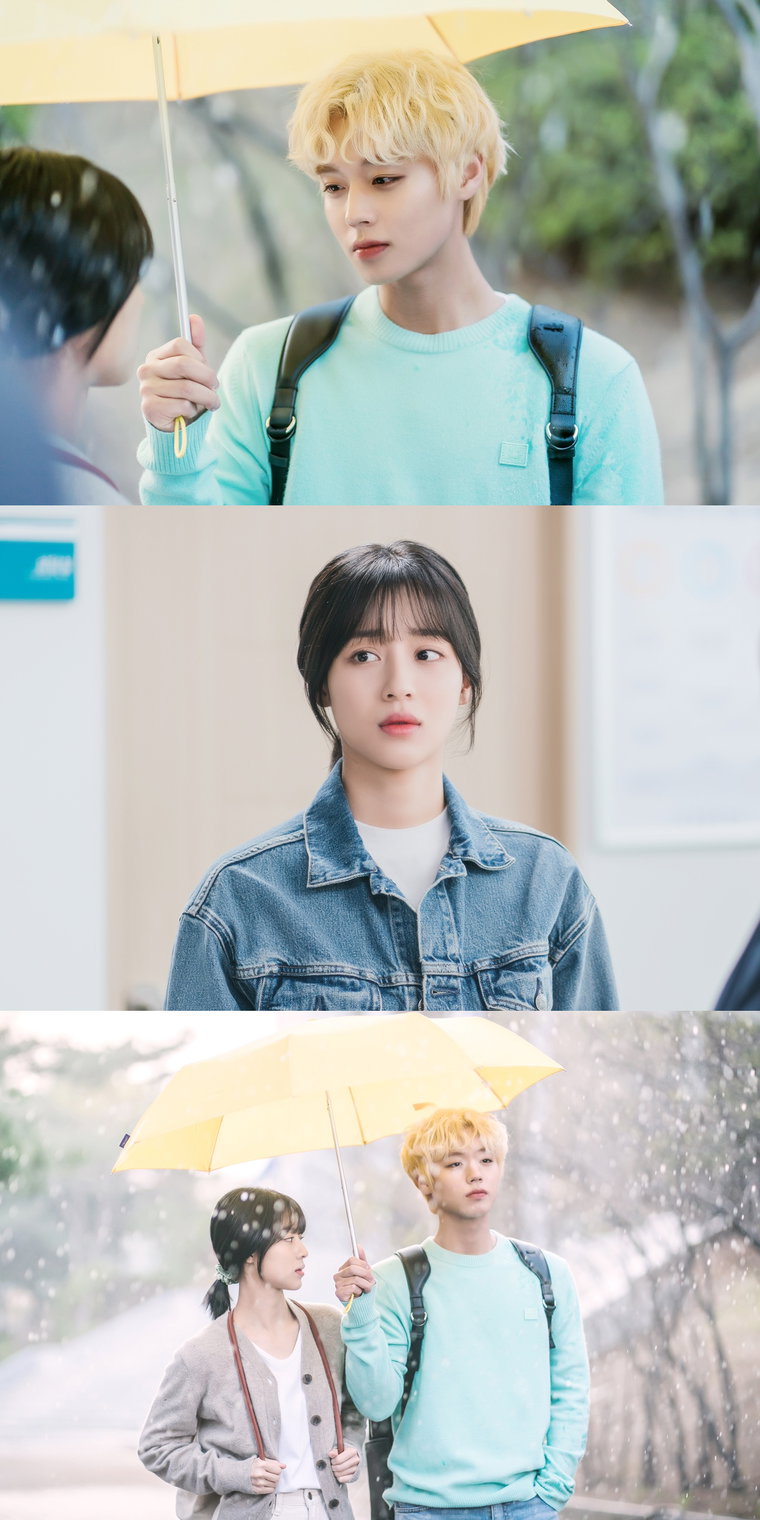 멀리서보면푸른봄 박지훈 강민아 사진 제공: 빅토리콘텐츠, 에이에이치엔스튜디오