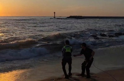 '찰나의 비극' 동해안 덮쳤다… 여름 앞둔 해변의 경고음