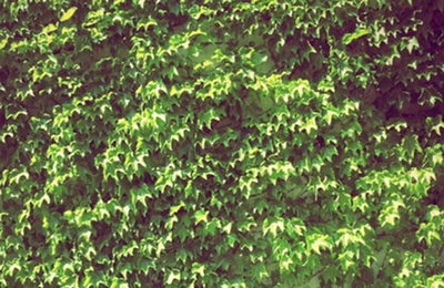 고아라도 인스타그램 시작 '화창한 봄날…세련 패션 센스'
