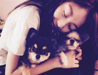공승연, 엠버 반려견들과 함께한 일상…"따스한 미소"