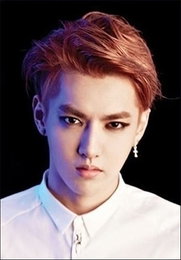 SM "엑소 크리스, 중국 내 불법 활동 관련 손배소"