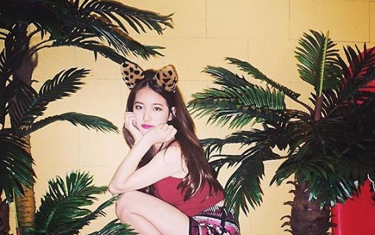 수지, 귀요미 캣츠걸…"새침+도도 매력" 뽐내