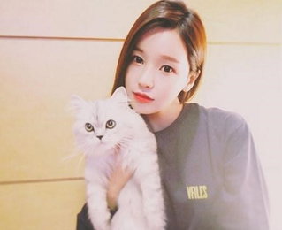 남규리, 고양이와 도도 셀카…'갈수록 어려지네'