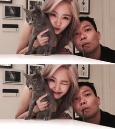 김새롬♥이찬오 부부, 고양이와 찰칵..'상큼발랄 일상'
