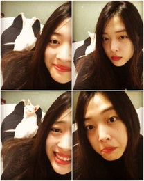 설리, 일상은 귀요미…"반려묘와 즐거운 시간"