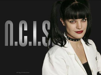 美 드라마 'NCIS' 여배우 폴리 페럿 집앞서 폭행