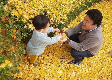 백종원, 아들과 가을산책…"주말나들이, 단풍놀이"