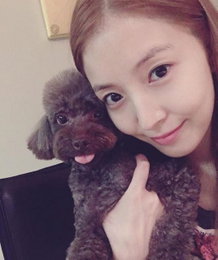 보아, 귀요미 반려견과 함께한 행복일상