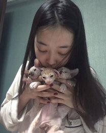설리, '스핑크스 냥천사'들에게 사랑스런 뽀뽀
