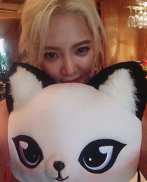 효연, 커다란 고양이 인형 끌어안고 찰칵…"야옹아~"