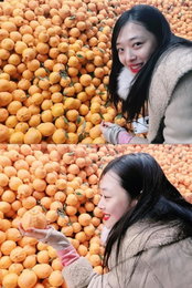 설리, 한라봉보다 상큼해~ "과즙美 팡팡"