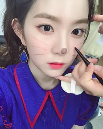 레드벨벳 아이린, 러블리 인형미모…"세젤귀 고양이"