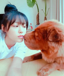 설현, 반려견과 함께 '나른한 오후'…"일상 속 청순"
