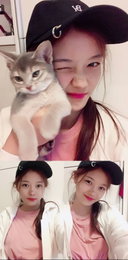 김유정, 고양이와 장난스러운 셀카 "사진찍기 거부하는거니"