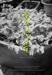 외치는 홍상수의 22번째 영화 '풀잎들'