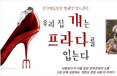 드라마 '우리집 개는 프라다를 입는다' 온라인 오디션