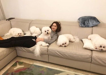 서효림, 댕댕이들과 함께 하는 연말…"2019년 밝은 해 기대해요"