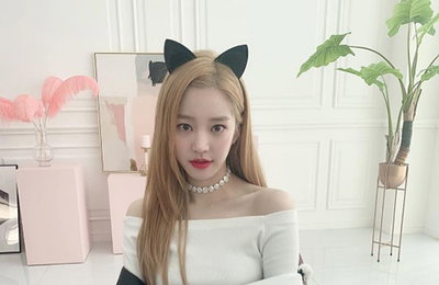이유비, 이렇게 예쁜 고양이 보셨나요