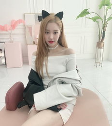 이유비, 이렇게 예쁜 고양이 보셨나요