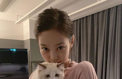 블랙핑크 제니, 고양이보다 더 귀엽네…"미모로 지구 정복"