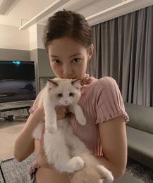블랙핑크 제니, 고양이보다 더 귀엽네…"미모로 지구 정복"