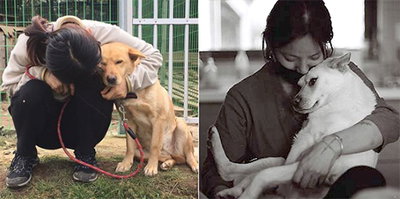 이효리, 휴식기에도 '유기견 보호운동'은 쉼 없이