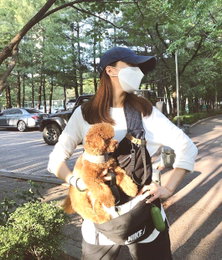 윤세아, 반려견과 함께 하는 일상...."엄마는 전대스타일"