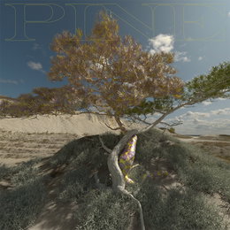 '실력파 신예' CHE, 오늘 (17일) 첫 EP 앨범 'PINE' 발매! 비와이·수민·소금·설호승 황금 라인업