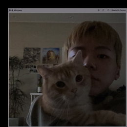 드레스X키드밀리, 오늘(17일) 신곡 'Kitty' 발매...'음색 요정' (여자)아이들 미연 피처링