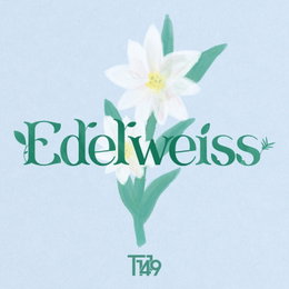 '컴백' T1419, 오늘(22일) 신곡 '에델바이스' 발매..."첫 팬송"
