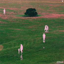 마마무 휘인, 9일(오늘) 신곡 '광합성' 발매...싱어송라이터 콜드 피처링 지원사격