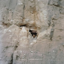 저스디스, 5일 신곡 'GOAT' 발매