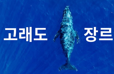 <극장판 고래와 나> 나는 혹등고래,  첫 주자 자기소개