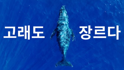 <극장판 고래와 나> 나는 혹등고래, 첫 주자 자기소개