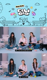 딩고, 국내 최초 유기견&유기묘 인터뷰 콘텐츠 '멍앤냥' 론칭... 4월 3일 izna 첫 게스트 출격