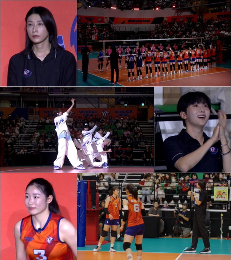 신인감독김연경