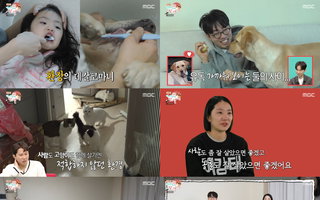 '전지적 참견 시점' 이강태 K-동물 아빠 숭고한 동물 사랑 감동…최다니엘·최강희 꿀케미로 2054시청률 1위