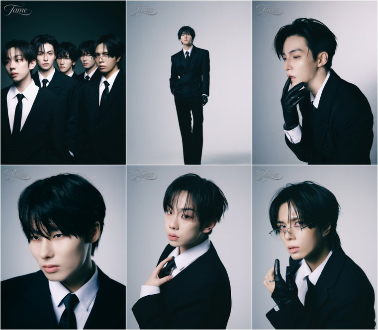 엘라스트