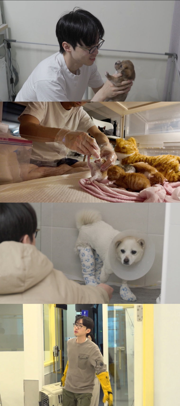 전지적참견시점