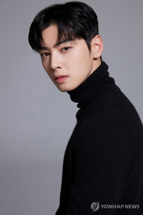 '탈세 의혹' 차은우 