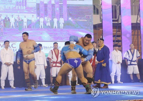 충주시 예산 끊긴 초미니 세계무술연맹, 홀로서기 가능할까