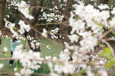제주시 파크골프장 3개소 순차 재개장 확정