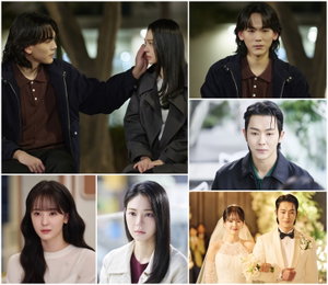 ‘닥터신’ 종영까지 단 2회, 피비(Phoebe)가 설계한 ‘뇌 체인지’ 서사의 파격 피날레