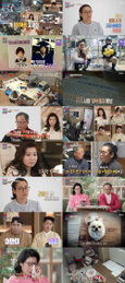 “가족보다 동물이 먼저?” 만삭 딸에게 ‘컨테이너 구매’ 요구한 아내… ‘결혼 지옥’ 역대급 사연