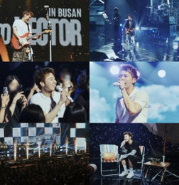 "Busan Finale After 4 Years"...Kim Sung-kyu Completes 'LV4' Tour Grand Journey, Proving Global Status